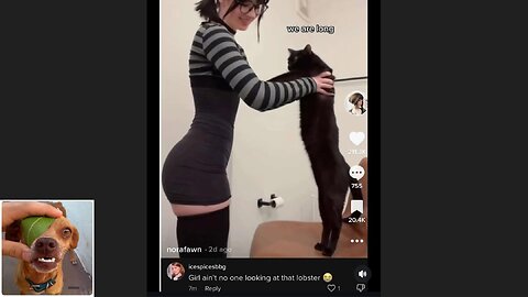 Memes That Will 99.0440% Make You Laugh. (e664)