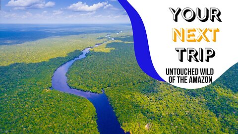 Untouched Wild of the Amazon