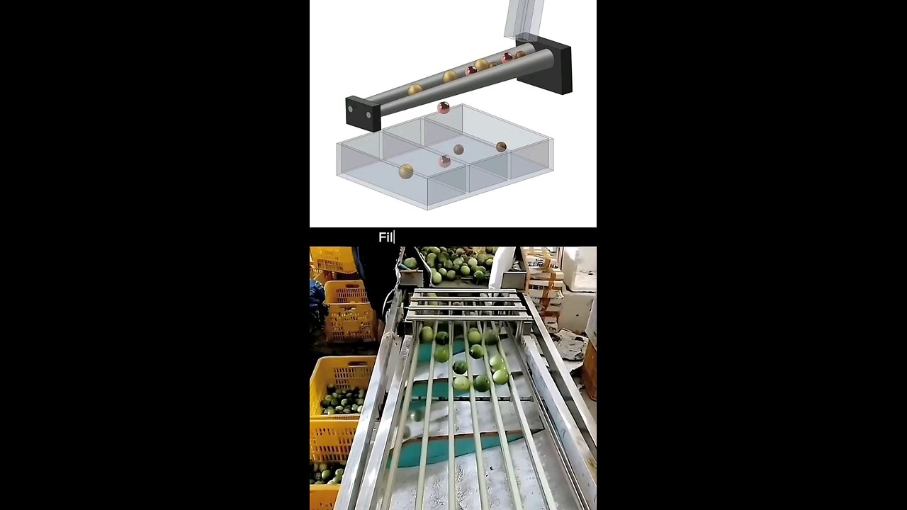 filter machine