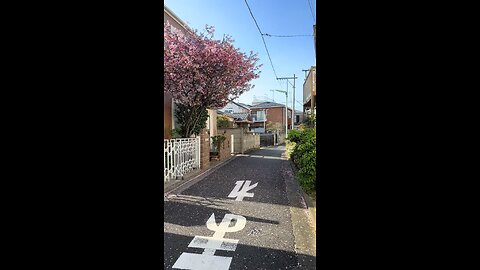 Spring #tokyo #japan #spring