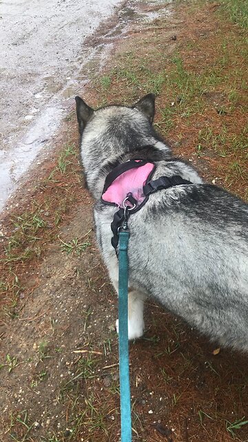 Wednesday, May 21, it was our weakness he carried