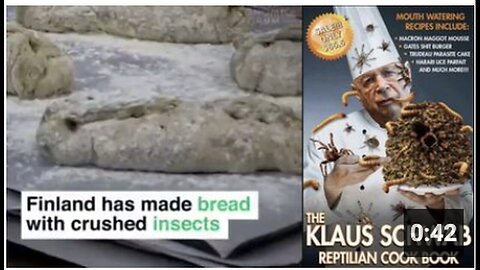 "Klaus' Love for Insects: Beetles, Caterpillars, Ants, Weevils and Spiders"