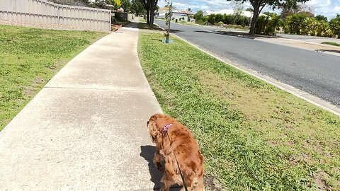 🌬️ Waking alone in the Wind