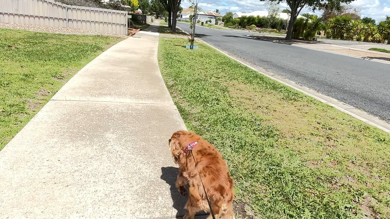 🌬️ Waking alone in the Wind