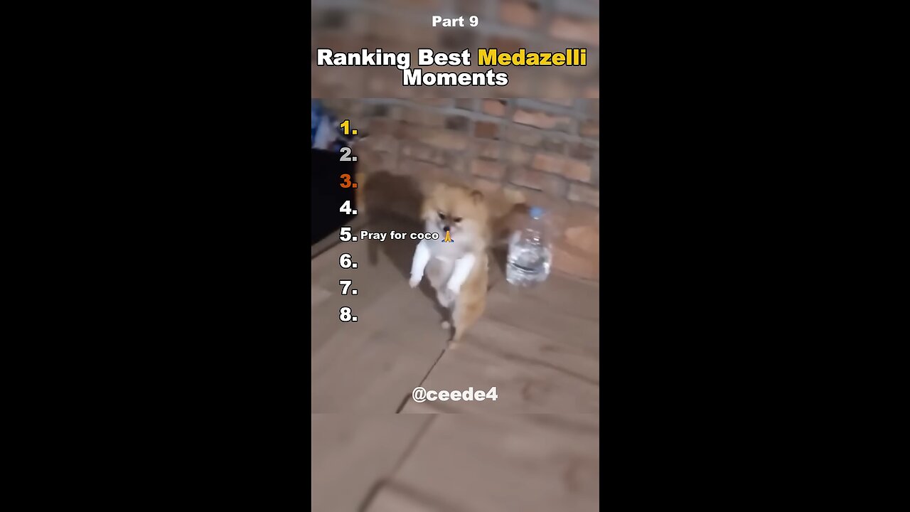 Funniest Medazelli