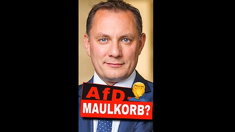 Von der Straße ins System – AfD duckt sich weg? 🔥😳