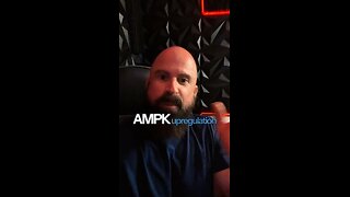 Q n A “Can MOTS-C cause Insomnia?” - Dr Trevor Bachmeyer