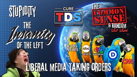 The Common Sense and Random Shit, Show (Insanity Will Never End... Liberal Media...)