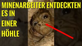 Bergbauleute filmten dieses Wesen tief in einem Untergrundtunnel