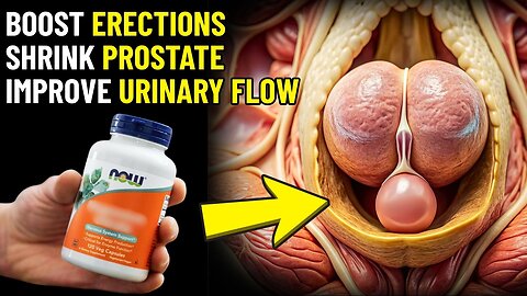 The #1 Supplement for Prostate Health
