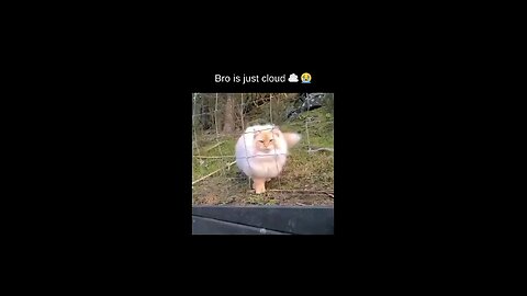 “When Life Gives You Funny Mood | Ultimate Meme Shorts” #FunnyMemes #MemeShorts #ViralVideo