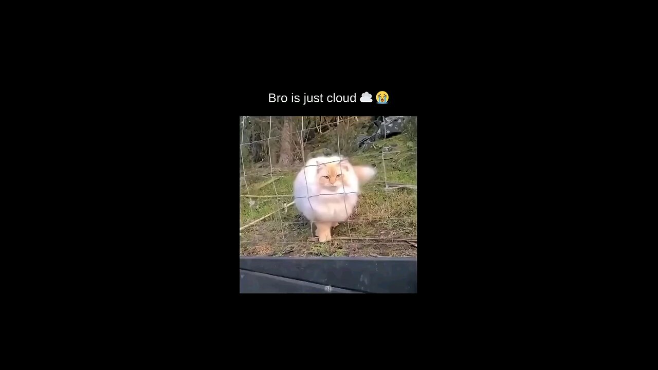 “When Life Gives You Funny Mood | Ultimate Meme Shorts” #FunnyMemes #MemeShorts #ViralVideo