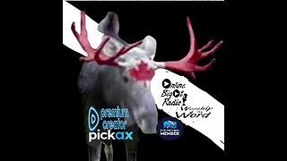 O.B.R.@Pipermaster6669 @rumblevideo @saintmesus @MasteringRumble @pickaxsocial @OffTopicShow2