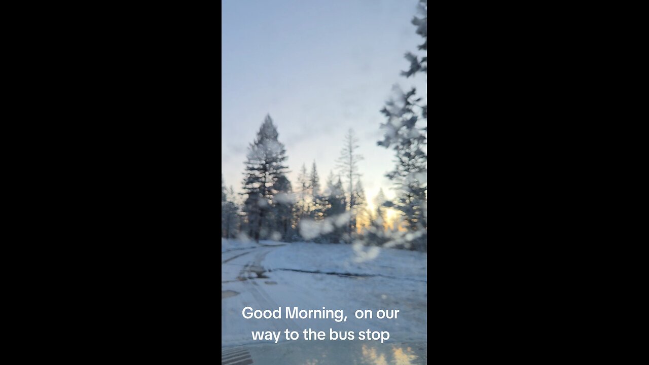 Our drive every morning