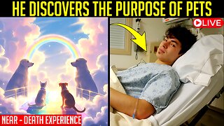 I Died & Met My Cat, It Revealed To Me Its Purpose And Where Pets Go After Life