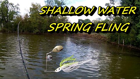 SHALLOW WATER SPRING FLING