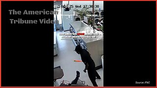 Quick-Thinking Bystanders Jump into Action to Save Woman Attacked by Masked, Bat-Wielding Man