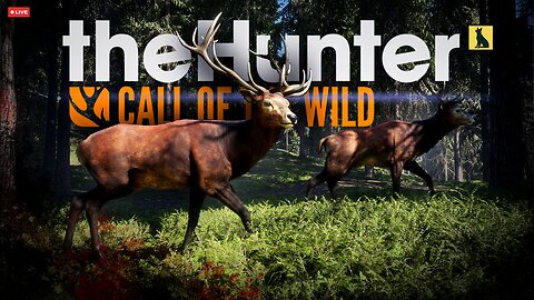 On the Hunt w/ no HUD