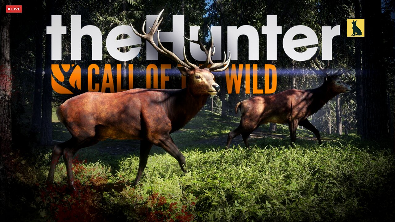 On the Hunt w/ no HUD