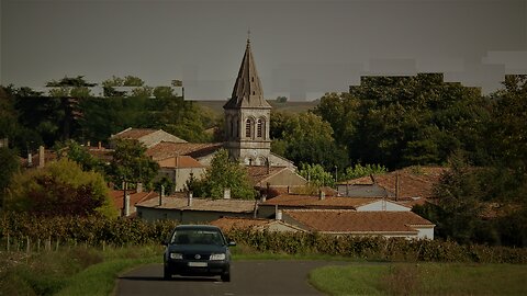 Bitterness of French wine, army is easy, wild is different