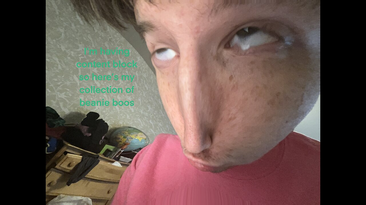 I’m having content block so here’s my collection of beanie boos