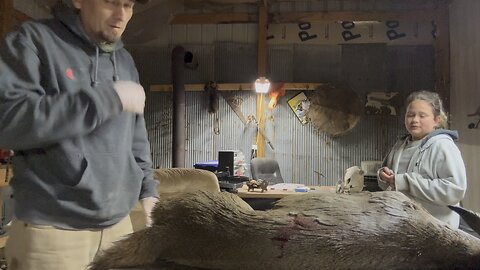 How to skin a deer