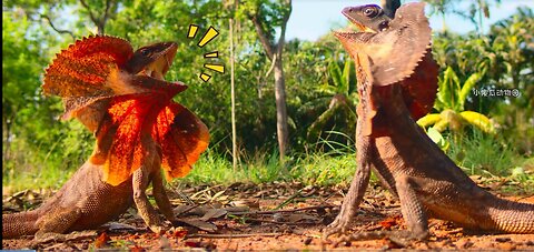 Amazing Animals in Their Natural Habitat