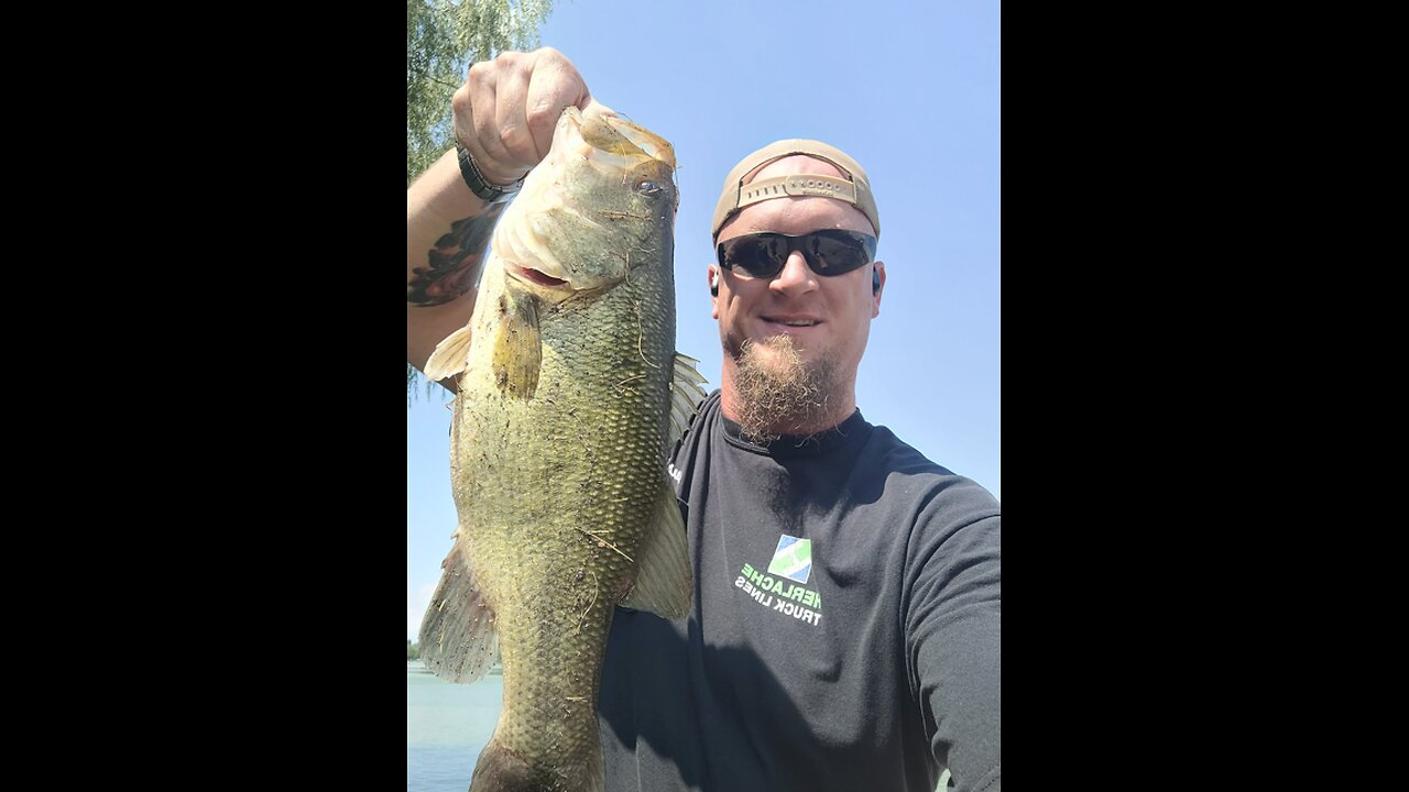 This paddle tail catches monster bass!