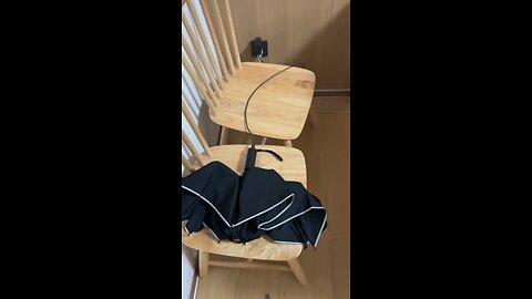 electric umbrella