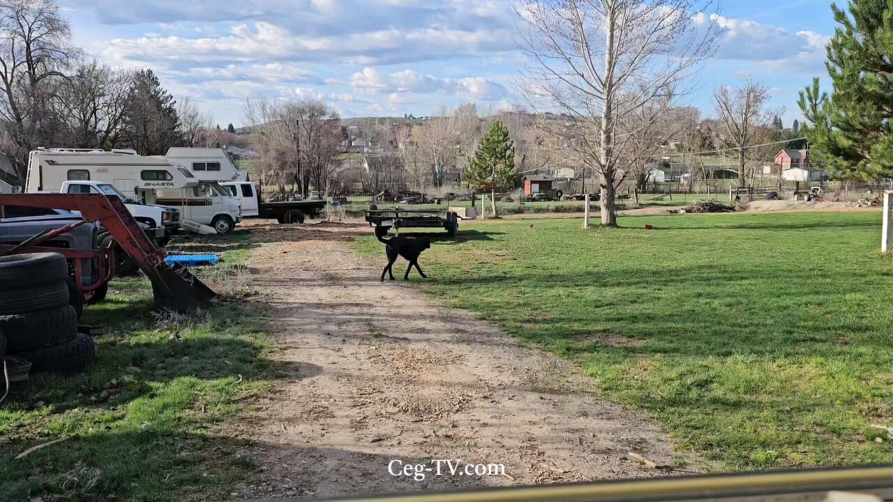 Graham Family Farm: 9:00 AM March 26 2025