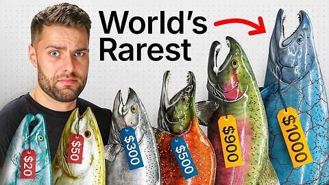 I Cooked Every EXOTIC Salmon FOR LOW to EXPENSE FISHIN