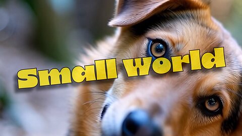 Small World – Dog with Kevin's Soul Gets Spotted by African Tribal Girl