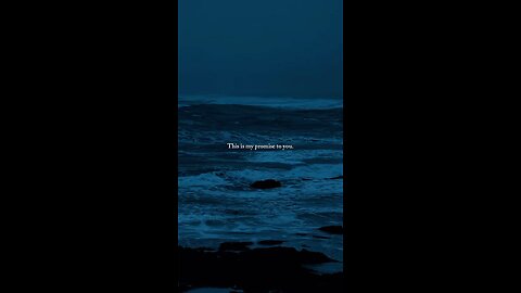 Business & entrepreneur Motivational