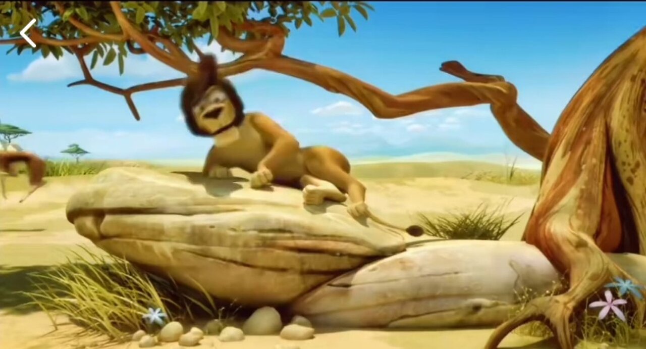 Funny Lion King Animation video 1