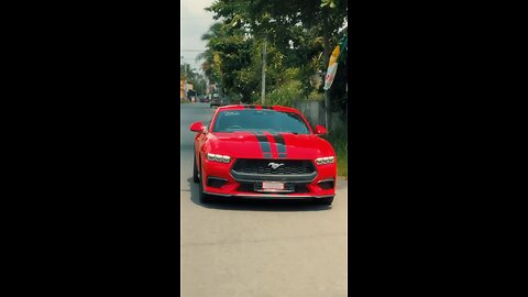 Mustang Lovers
