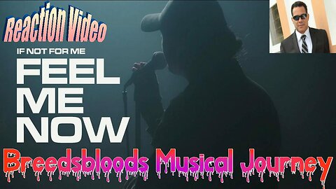 If Not For Me - Feel Me Now - Breedsbloods Musical Journey