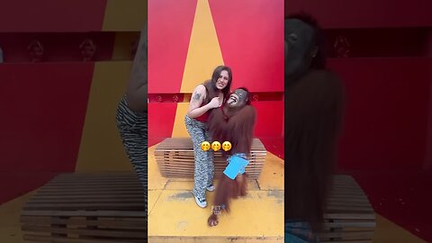 Funny Animals Compilation #funnyanimals #animals #pets #shorts