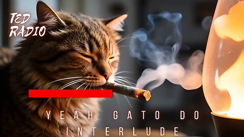 Yeah Gato Do INTERLUDE