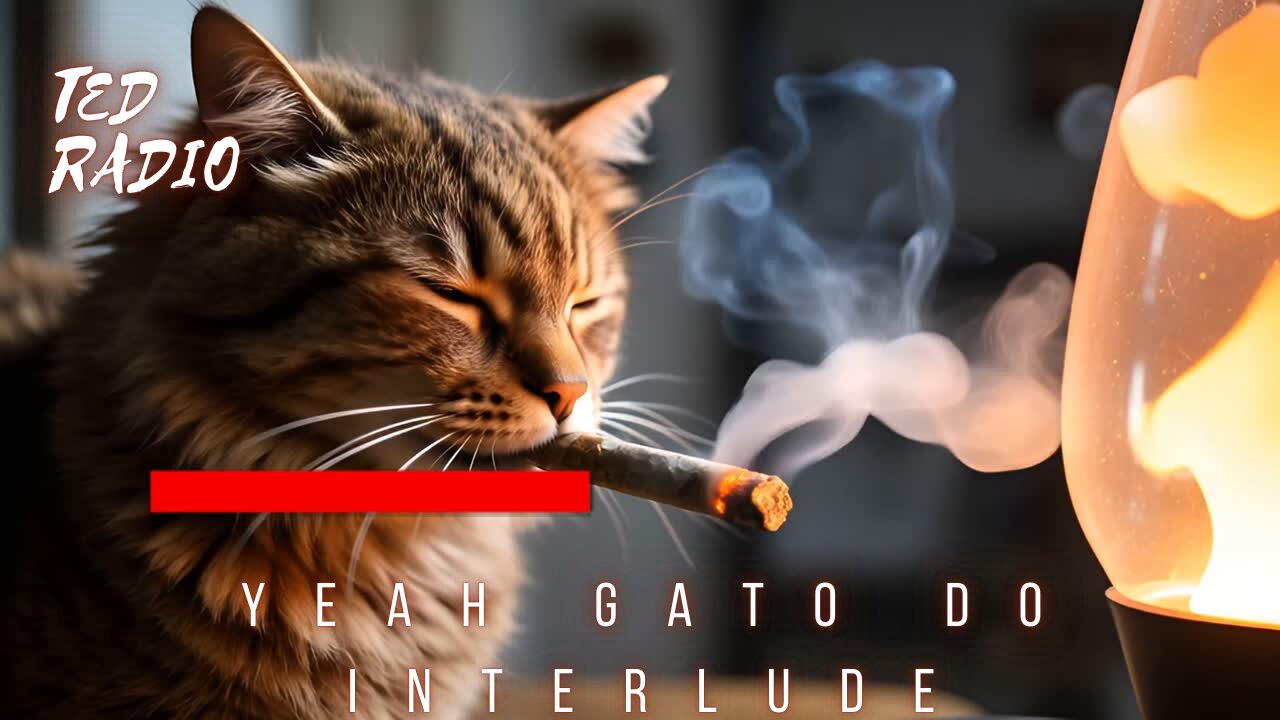 Yeah Gato Do INTERLUDE