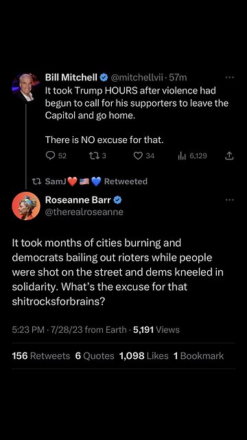 liberal democrat plantation cult klan blm antifa riot insurrectionist protecting criminal illegals