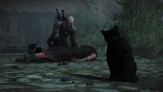 The Witcher 3, Just for Fun, pt.51