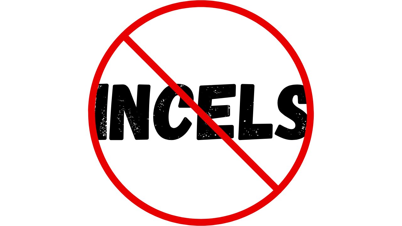 Why Incels?!