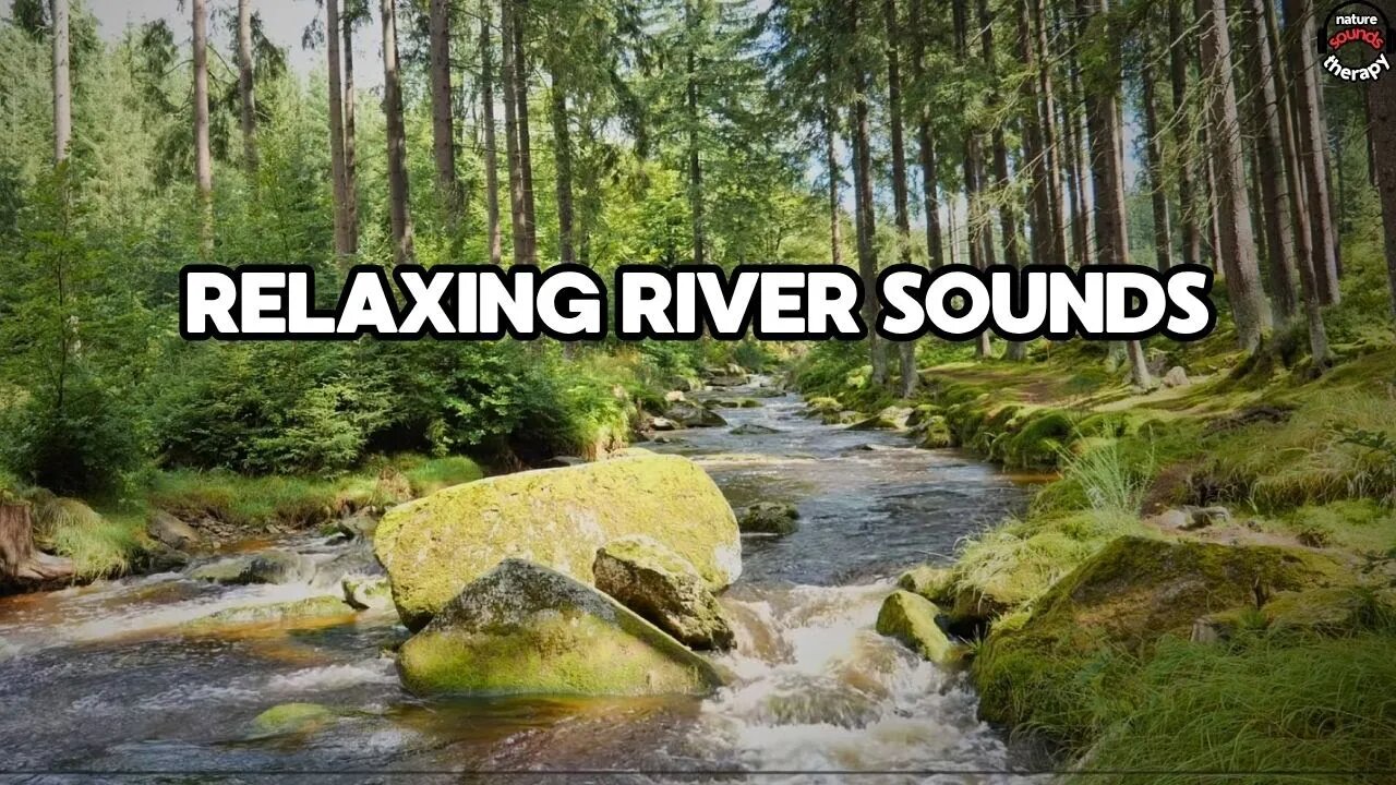Forest Stream Sounds | Deep Relaxation, Sleep & Focus