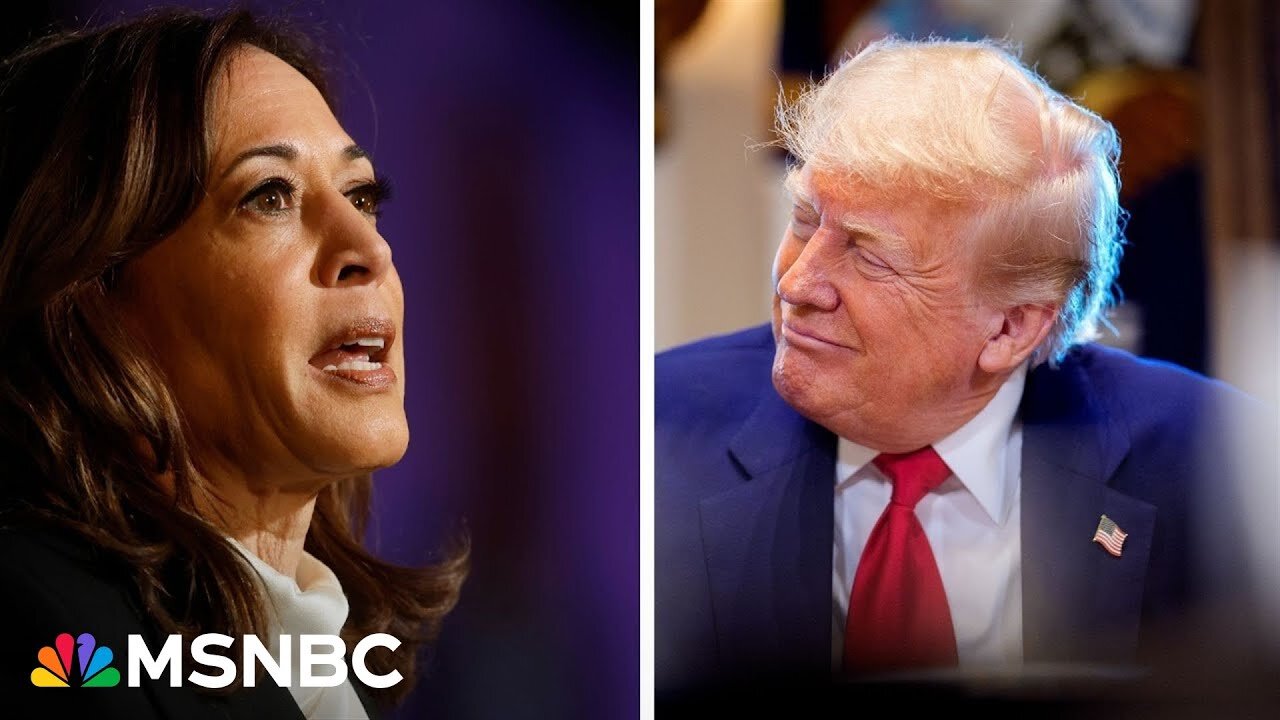 ‘Reckless Tariffs’: Kamala Harris Slams Trump in First Post-Election Speech