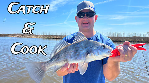 Black Drum Catch & Cook! From Marsh to Table with a Tasty Southern Recipe