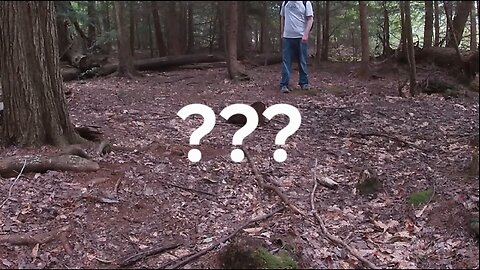I Found Something Deep In The Woods