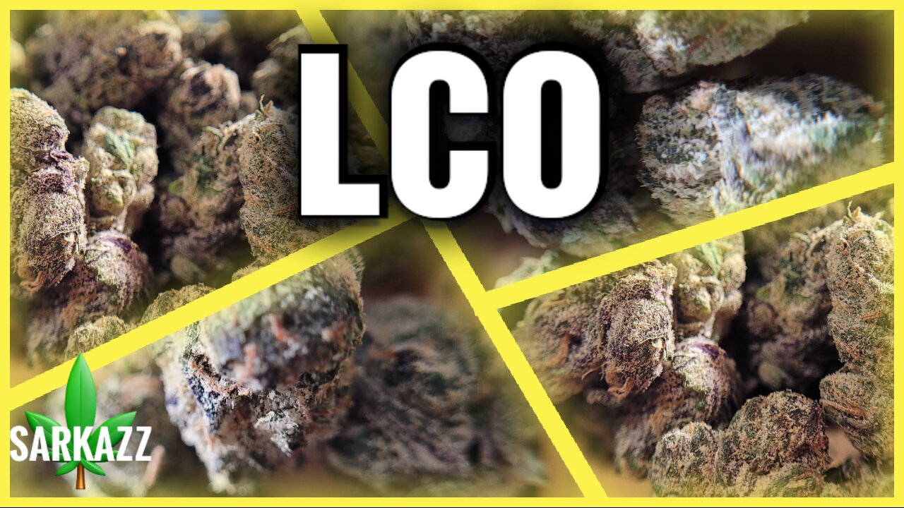 Hello Mary's Lemon Cherry Original: The Legendary Lemon-Cherry Hybrid You Need to Try!
