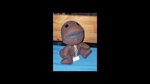 Sackboy 27