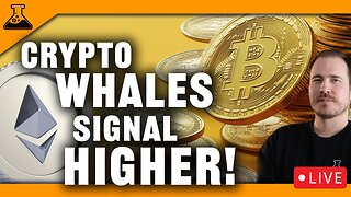 Crypto Whales Buy Signal! Bitcoin & Altcoins Next Major Move!