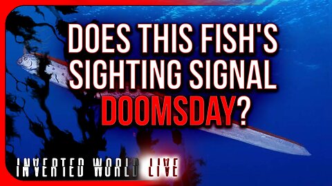 Does This Fish's Sighting Signal Doomsday?